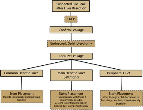 b4il3e leaks|Current Management of Biliary Leaks